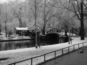 MINOLTA DIGITAL CAMERA